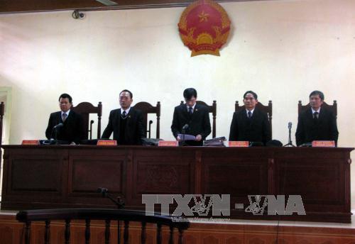 Giám sát tình hình oan sai trong xét xử ảnh 1